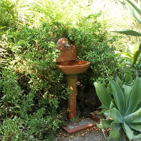 Bed & Breakfast Casa Terranova 3*