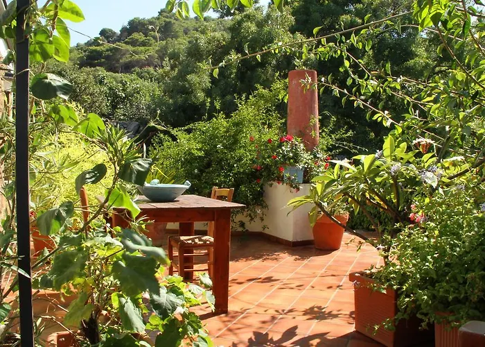 Casa Terranova Отель типа 