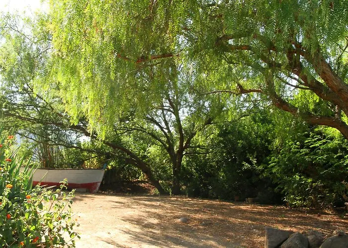 Casa Terranova Устика